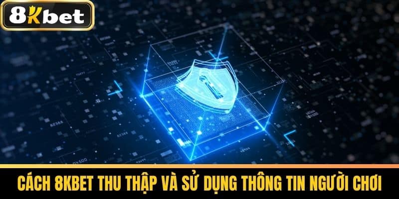 Chính Sách Bảo Mật 8KBET - Đảm Bảo An Toàn Thông Tin Cược Thủ 2 Cách 8KBET Thu Thập và Sử Dụng Thông Tin Người Chơi